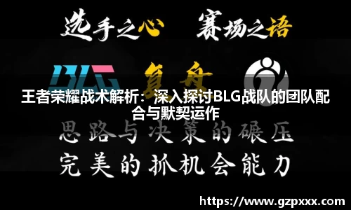 王者荣耀战术解析：深入探讨BLG战队的团队配合与默契运作